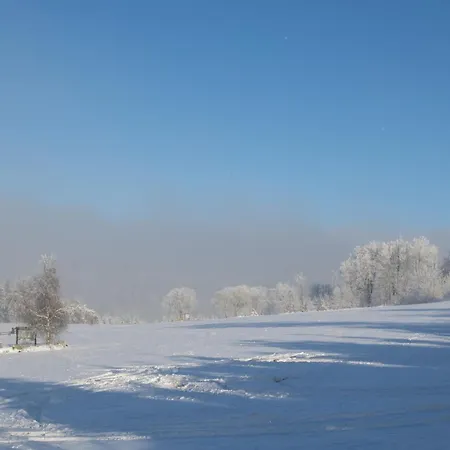 Welcome In - 'tremonia', Gegenueber Der Piste Mit Balkon Апартаменты Винтерберг